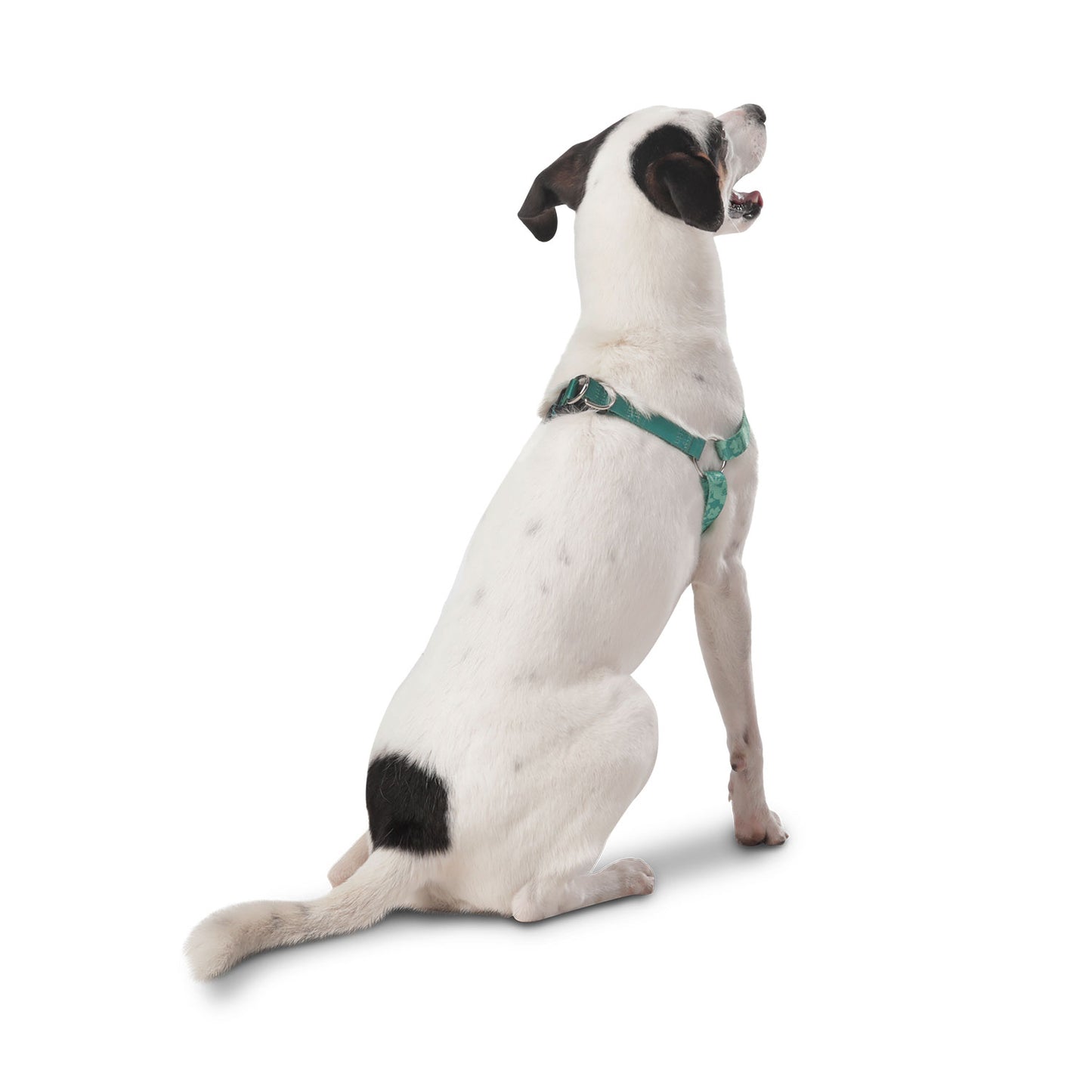PEITORAL DE CAMINHADA BRUNNO 3DW XS