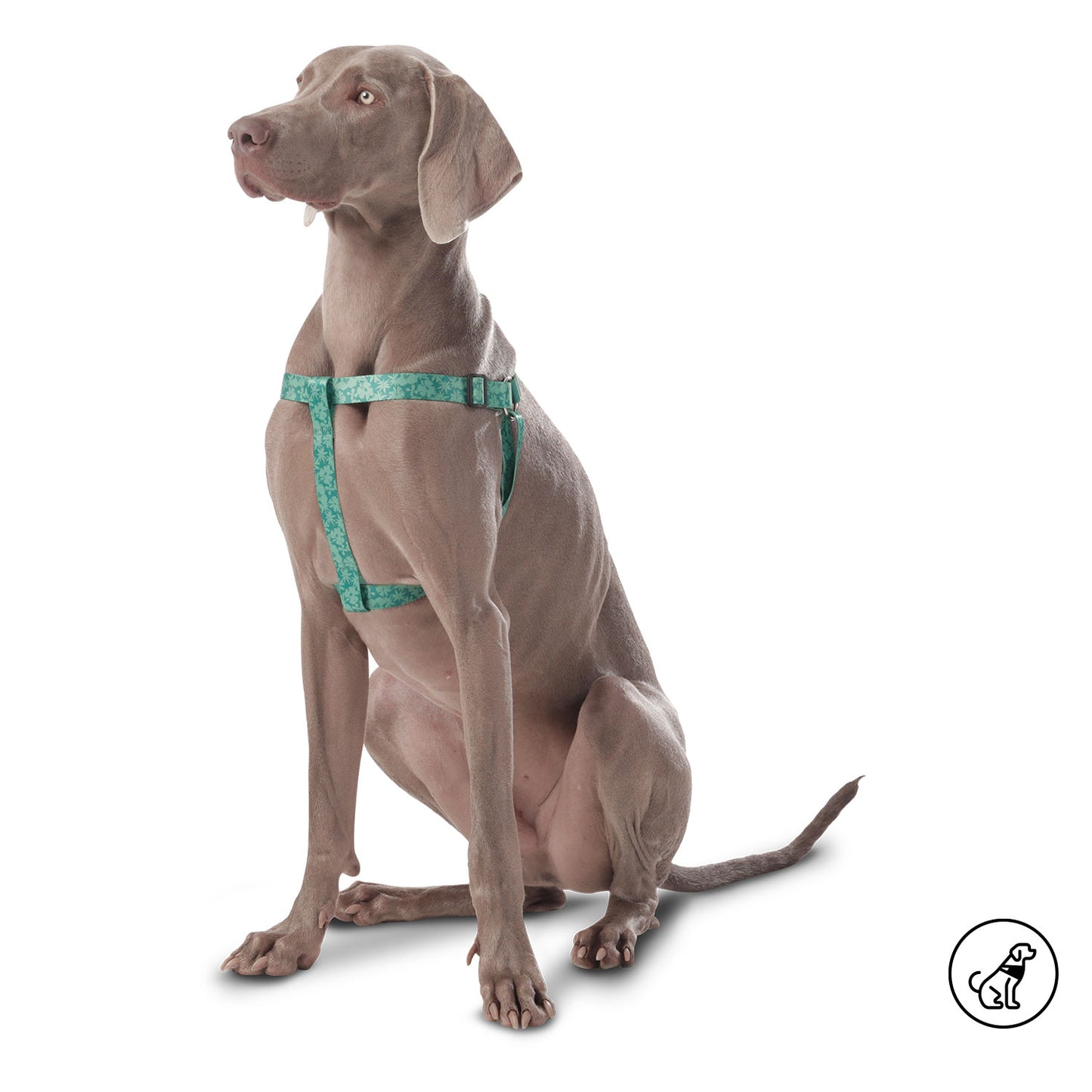 PEITORAL DE CAMINHADA BRUNNO 3DW XL