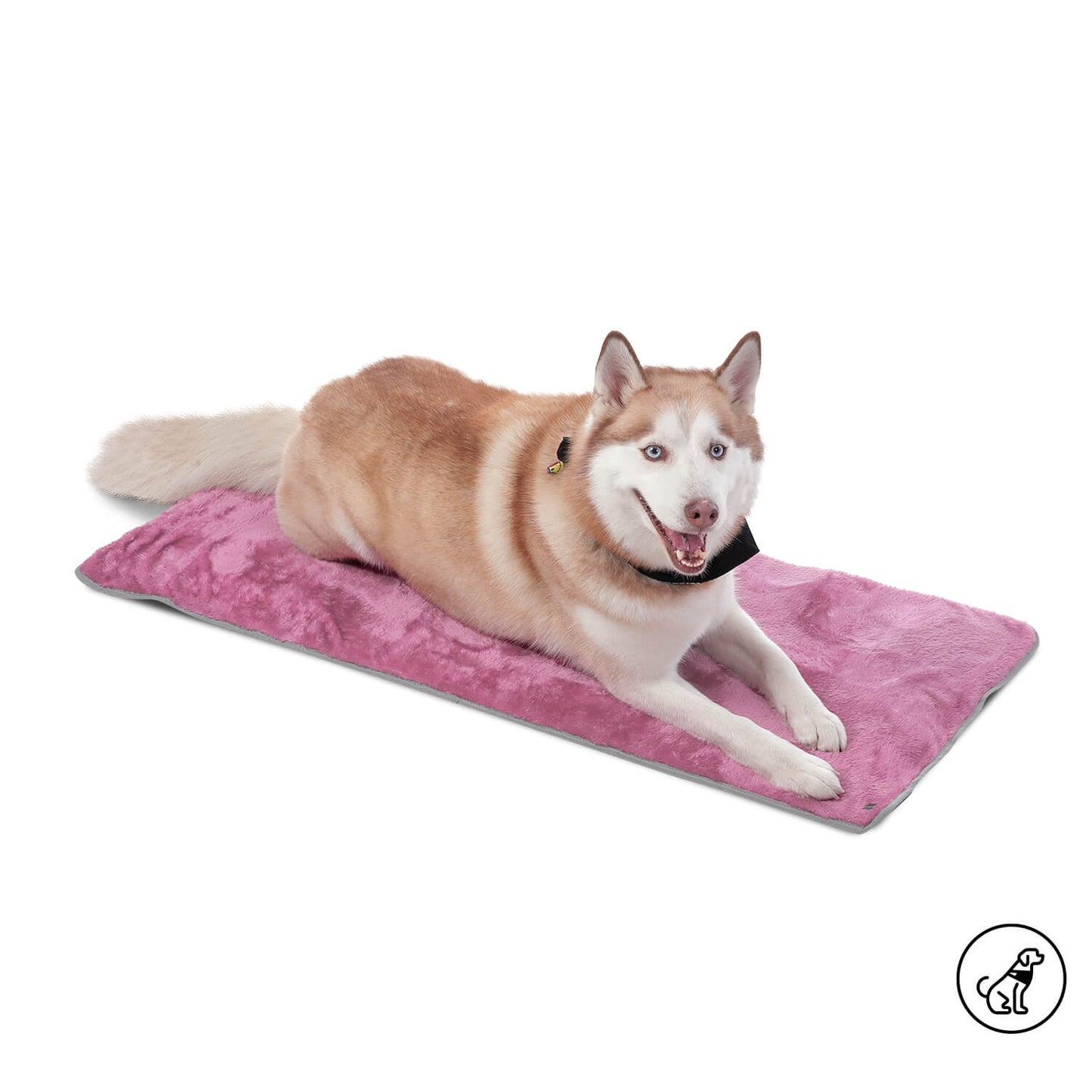 CAMA PORTÁTIL SHERPY M89 M