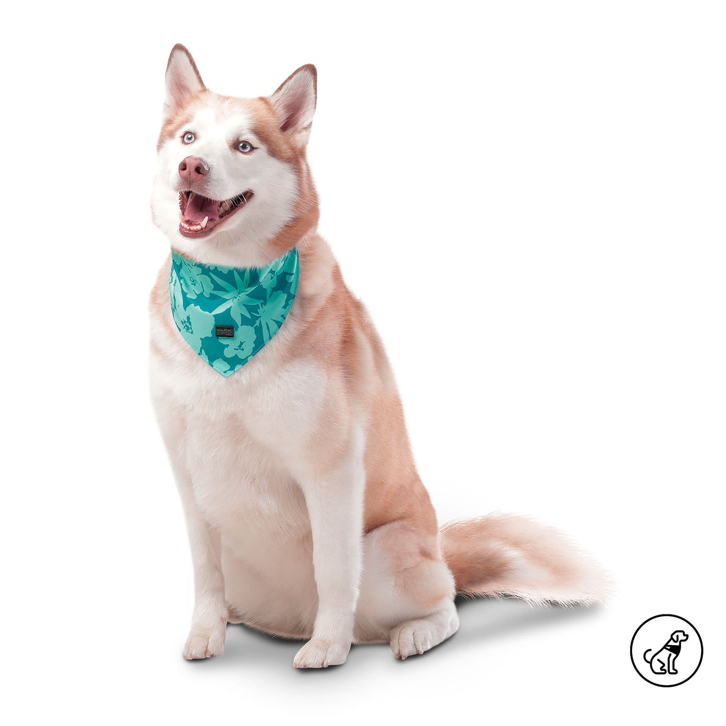 LENÇOS DUPLA FACE MENTA 3DW XL